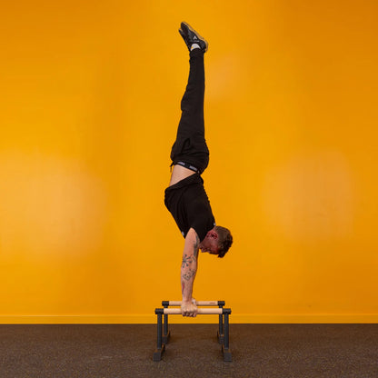 Pro Hybrid Parallettes Bars – Medium Calisthenics Bars for Strength Training